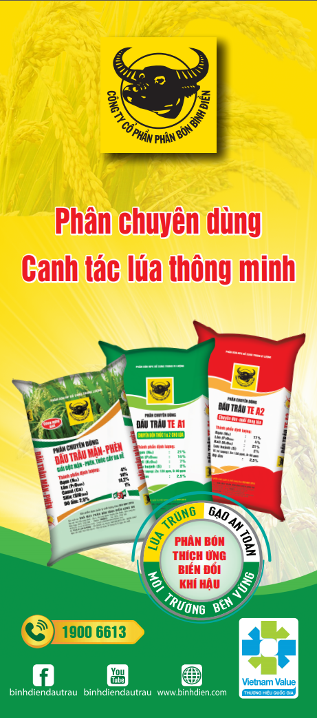Phân Bón Bình Điền